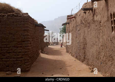 Villaggio Dogon del Mali in Africa occidentale Foto Stock
