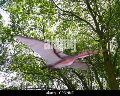 Pterodactylus (Pterodactylus), flying Foto Stock