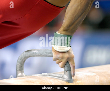 Ginnastica artistica; cavallo Foto Stock