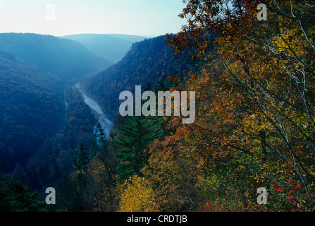 GRAND CANYON della Pennsylvania / Pine Creek come si vede dal cotone Point State Park Foto Stock