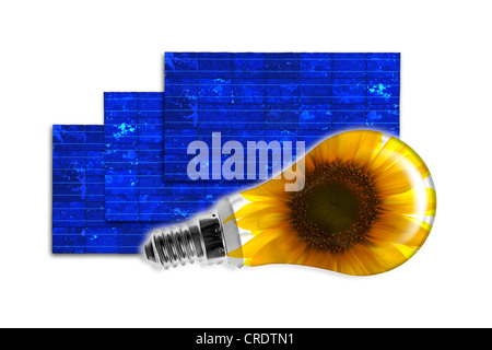 Illustrazione, celle solari con una lampadina con un girasole, immagine simbolica per energia solare Foto Stock