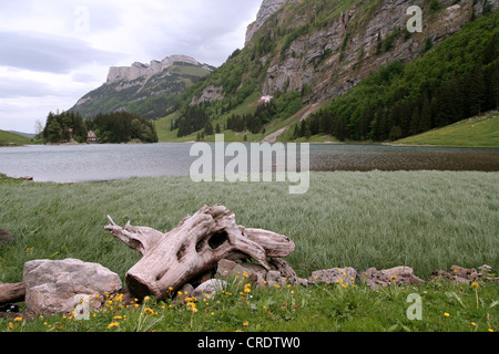 Seealpsee, Appenzeller Land, Svizzera, Wasserauen Foto Stock