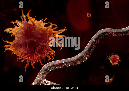 Il tumore in una fase precoce, angiogenesi, illustrazione Foto Stock
