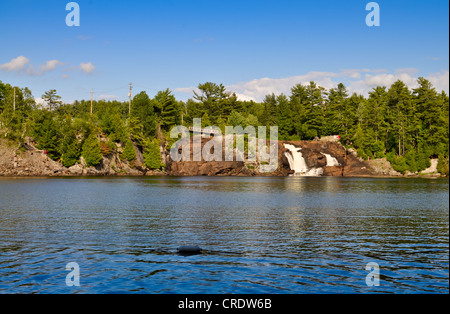 Alte cascate sul fiume di Muskoka in Braceridge, Ontario Foto Stock