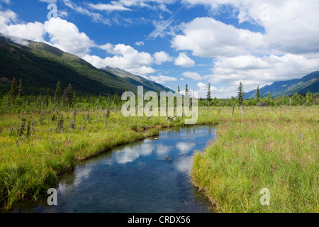 Piccolo fiume vicino al fiume Eagle in Chugach State Park in Alaska, STATI UNITI D'AMERICA Foto Stock