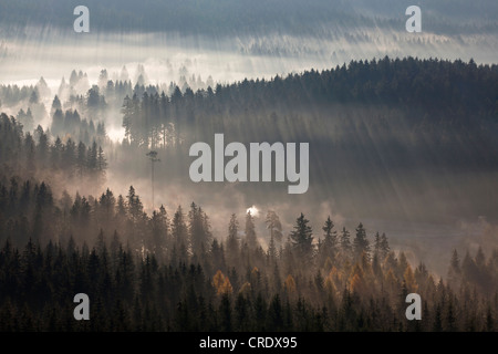 La mattina presto con la nebbia autunnale vicino lago Schluchsee, da Riesenbuehl torre di osservazione, Foresta Nera, Baden-Wuerttemberg Foto Stock