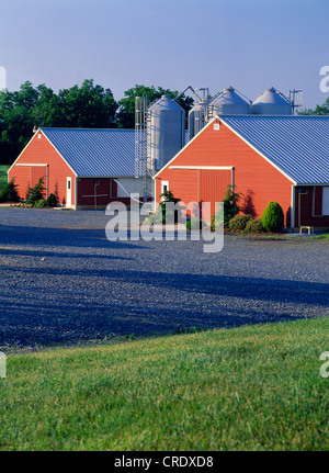 Vista esterna di graticola case, 414 piedi lungo / PENNSYLVANIA Foto Stock