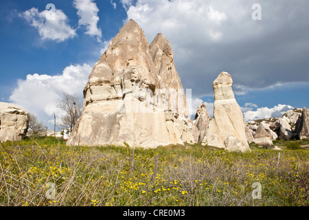 Camini di Fata, paesaggio di tufo nella valle di amore a Goreme, Sito Patrimonio Mondiale dell'UNESCO, la Cappadocia, Anatolia, Turchia Foto Stock