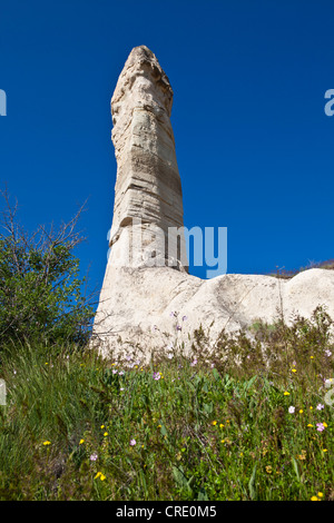 Il tufo Camini di Fata nella valle di amore a Goreme, Sito Patrimonio Mondiale dell'UNESCO, la Cappadocia, Anatolia, Turchia Foto Stock