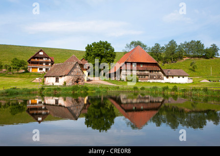 Agriturismo vicino a Hornberg nella Foresta Nera, Baden-Wuerttemberg, Germania, Europa PublicGround Foto Stock