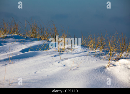 Atmosfera invernale con ghiaccio e neve, isola di Sylt, Schleswig-Holstein, Germania, Europa Foto Stock