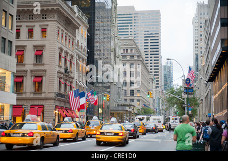 Il traffico nella metropoli, yellow cabs, taxi in Quinta Avenue, Manhattan, New York, New York, USA, America del Nord, America Foto Stock