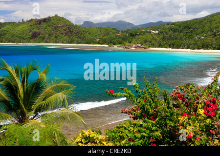 Baie Lazare, Isola di Mahe, Seychelles, Africa, Oceano Indiano Foto Stock