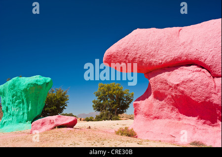 Sassi dipinti dall artista belga Jean Verame vicino a Tafraoute, Anti-Atlas, sud del Marocco, Africa Foto Stock