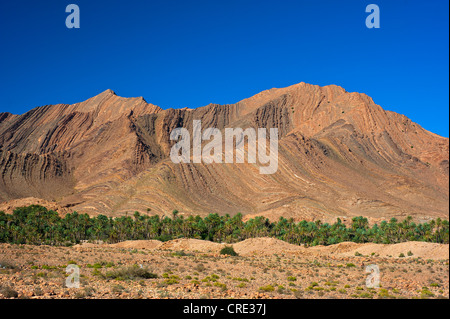 Imponente paesaggio montano con pendii erosi in Ait Mansour Valley, palme da dattero in crescita nel letto asciutto del fiume Foto Stock