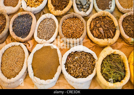 Le spezie in sacchetti sono in vendita presso il mercato o souk, sud del Marocco, Africa Foto Stock