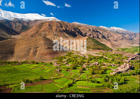 Paesaggio con campi coltivati e piccolo insediamento in Ait Bouguemez Valley, Alto Atlante, Marocco, Africa Foto Stock