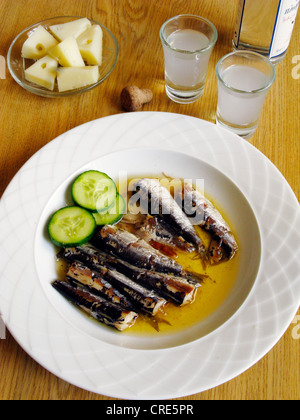 La cucina greca. Sardine in olio di oliva Meze con ouzo e formaggio Foto Stock