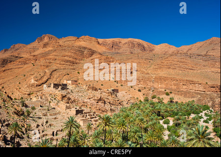 Tipico paesaggio roccioso con un piccolo insediamento e palme da dattero (Phoenix) cresce in un letto asciutto del fiume, Ait Mansour Valley Foto Stock