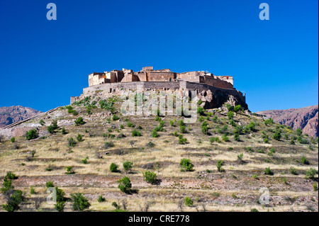 Castello di storage, Agadir Tizourgane, Anti-Atlas montagne, sud del Marocco, Marocco, Africa Foto Stock