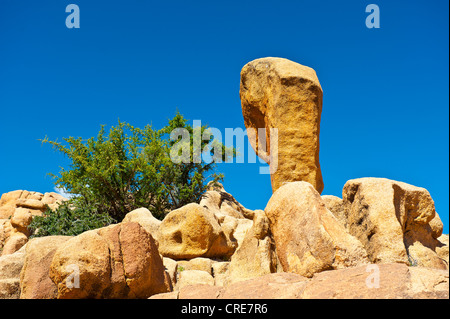 Massi di granito che giace su di un promontorio roccioso, con giovani (Argan Argania spinosa) alberi che crescono tra le rocce Foto Stock