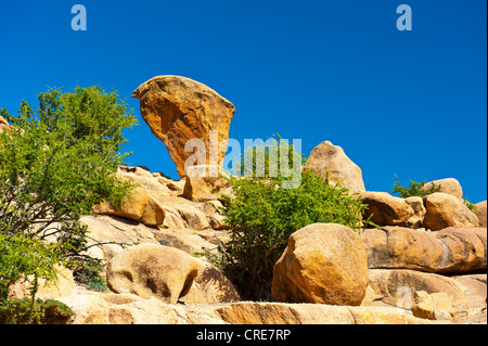 Massi di granito che giace su di un promontorio roccioso, con giovani (Argan Argania spinosa) alberi che crescono tra le rocce Foto Stock