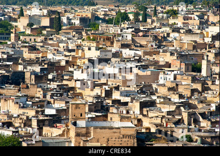 Affacciato sul centro storico, la Medina di Fes el Bali, Fez, in Marocco, Africa Foto Stock