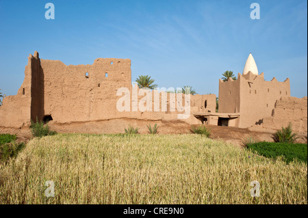 Marabout o la tomba di un santo islamico, e fatiscenti case di adobe in un boschetto di palme vicino Skoura, inferiore Dades Valley, Casbah rotta Foto Stock