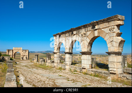 Rovine romane con arco trionfale di Caracalla, antica città residenziale di Volubilis, Marocco settentrionale, Africa Foto Stock
