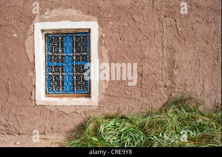 Facciata di una casa fatta di mattoni di fango, blu bloccate finestra, il foraggio verde sul terreno per animali domestici, Alto Atlante, Marocco Foto Stock