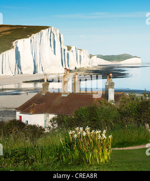 Una vista verso le sette sorelle sulla South Downs East Sussex cercando su un cottage con iridi crescendo in primo piano Foto Stock