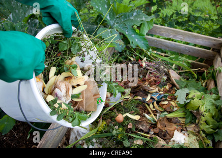 I rifiuti organici, compost, compostaggio, Germania, Europa Foto Stock