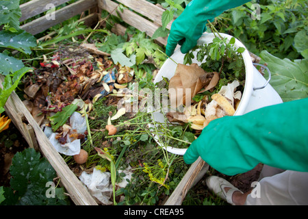 I rifiuti organici, compost, compostaggio, Germania, Europa Foto Stock