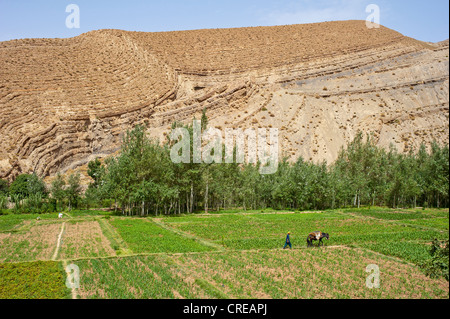 Montagne, scarpata paesaggio con piccoli campi nella valle del fiume, Alto Atlante, Dades valley, Marocco, Africa Foto Stock