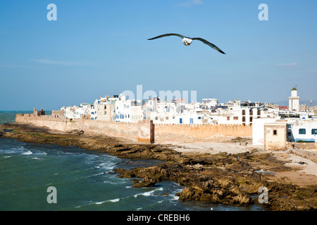 Le mura della città o bastioni, Essaouira, Marocco, Africa Foto Stock