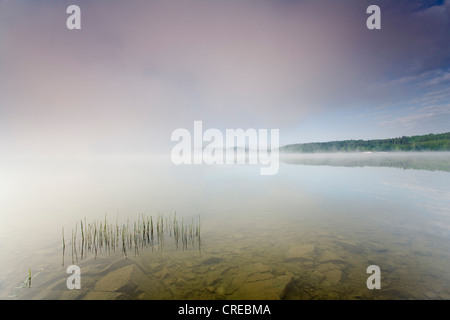 Sunrise con nuvole sopra il lago di storage Poehl, in Germania, in Sassonia, Jocketa Foto Stock