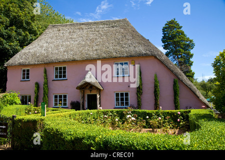 Rose Cottage è una delle più pittoresche case in un affascinante villaggio di Cockington nel Devon, Inghilterra Foto Stock