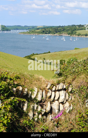 Guardando verso il fiume Helford vicino Mawnan-Smith in Cornwall, Regno Unito Foto Stock