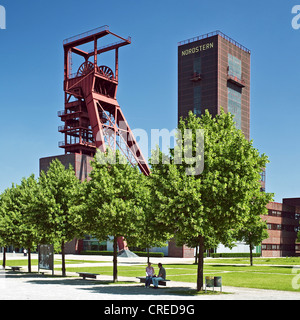 Heritage-protected copricapo dell'ex miniera di carbone Nordstern presso il Parco Nordstern, in Germania, in Renania settentrionale-Vestfalia, la zona della Ruhr, Gelsenkirchen Foto Stock
