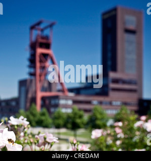 Heritage-protected copricapo dell'ex miniera di carbone Nordstern presso il Parco Nordstern, in Germania, in Renania settentrionale-Vestfalia, la zona della Ruhr, Gelsenkirchen Foto Stock