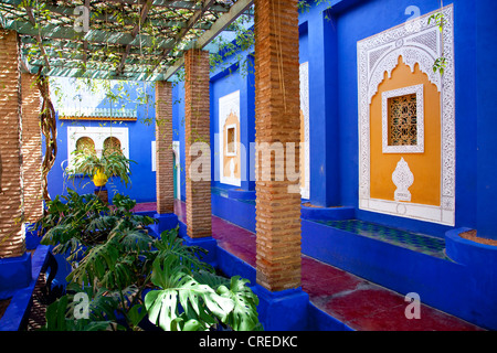 Jardin Majorelle, Giardino Majorelle Giardino botanico, Marrakech, Marocco, Africa Foto Stock