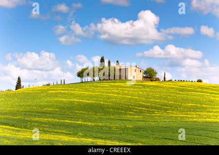 Casale toscano e cipressi sulla collina Foto Stock