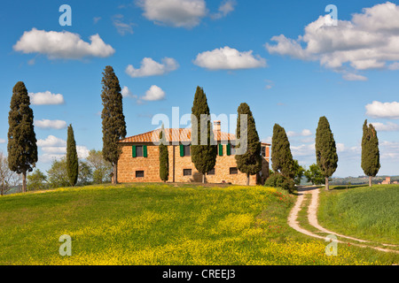 Casale toscano e cipressi. Luminosa vista classica Foto Stock