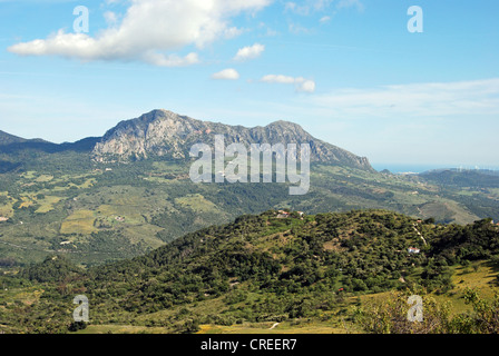 Vista da Gaucin verso i Reales Mountain / Montana Reales, Sierra Bermeja, Andalusia, Spagna, Europa occidentale. Foto Stock