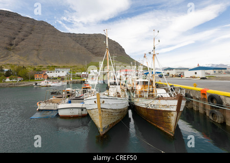 Porto di pesca, Bildudalur, Islanda, Nord Europa, Europa Foto Stock