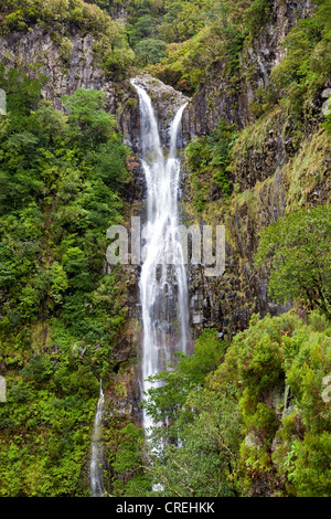 Cascata di Risco, Cascata do risco, Laurisilva foresta laurel, Sito Patrimonio Mondiale dell'UNESCO a Rabacal, Madeira, Portogallo, Europa Foto Stock