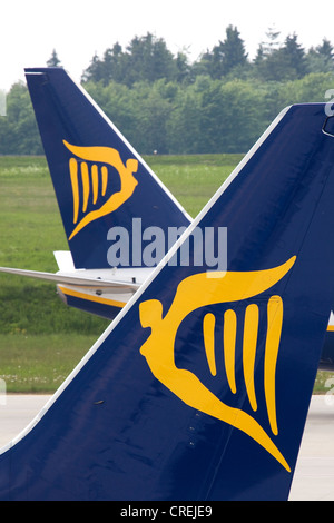 Il logo di Ryanair su un Boeing 737 dal bilancio compagnia aerea Ryanair a Frankfurt-Hahn aeroporto nel quartiere Hunsrueck vicino a Simmern Foto Stock