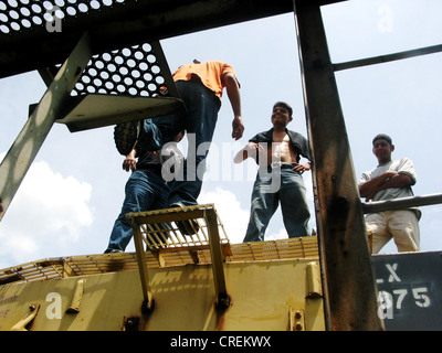 Immigrati clandestini provenienti da America Centrale jump up sul deathtrain attraverso il Messico agli Stati Uniti d'America, Messico Foto Stock