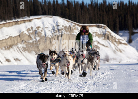 Esecuzione di un cane, slitte trainate da cani, pastosità, Alaskan Huskies all'inizio dello Yukon Quest 1, 000-mile International Sled Dog Race Foto Stock