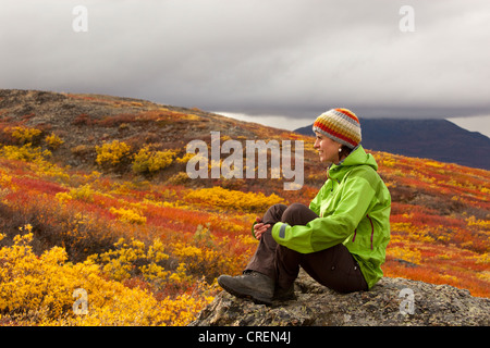 Giovane donna seduta su una roccia, riposo, godendo della vista, tundra subalpino, indiano estate, autunno, nei pressi di pesce di lago, Yukon Territory Foto Stock